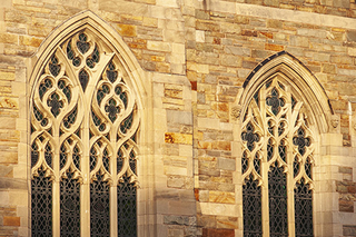 Sterling Library windows